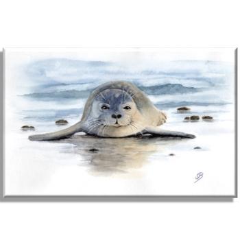 Leinwand Keilrahmen Canvas-Leinen Aquarell Maritim Kunst Druck Kunstdruck Seehund auf Bauch Robbe Heuler Kegelrobbe Dänemark Nordsee Ostsee